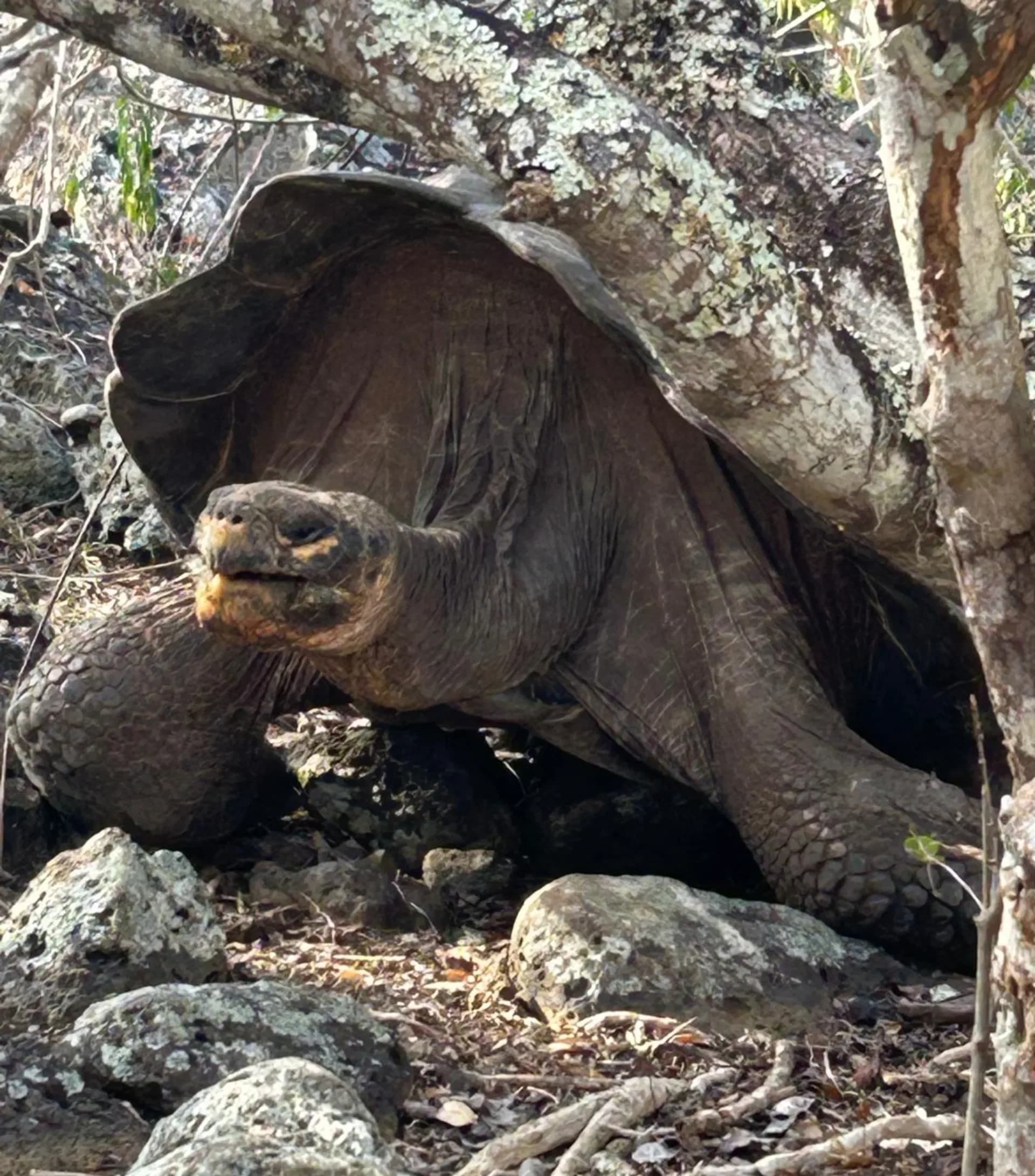 8 Day Galápagos 4 Island Hopping Tour