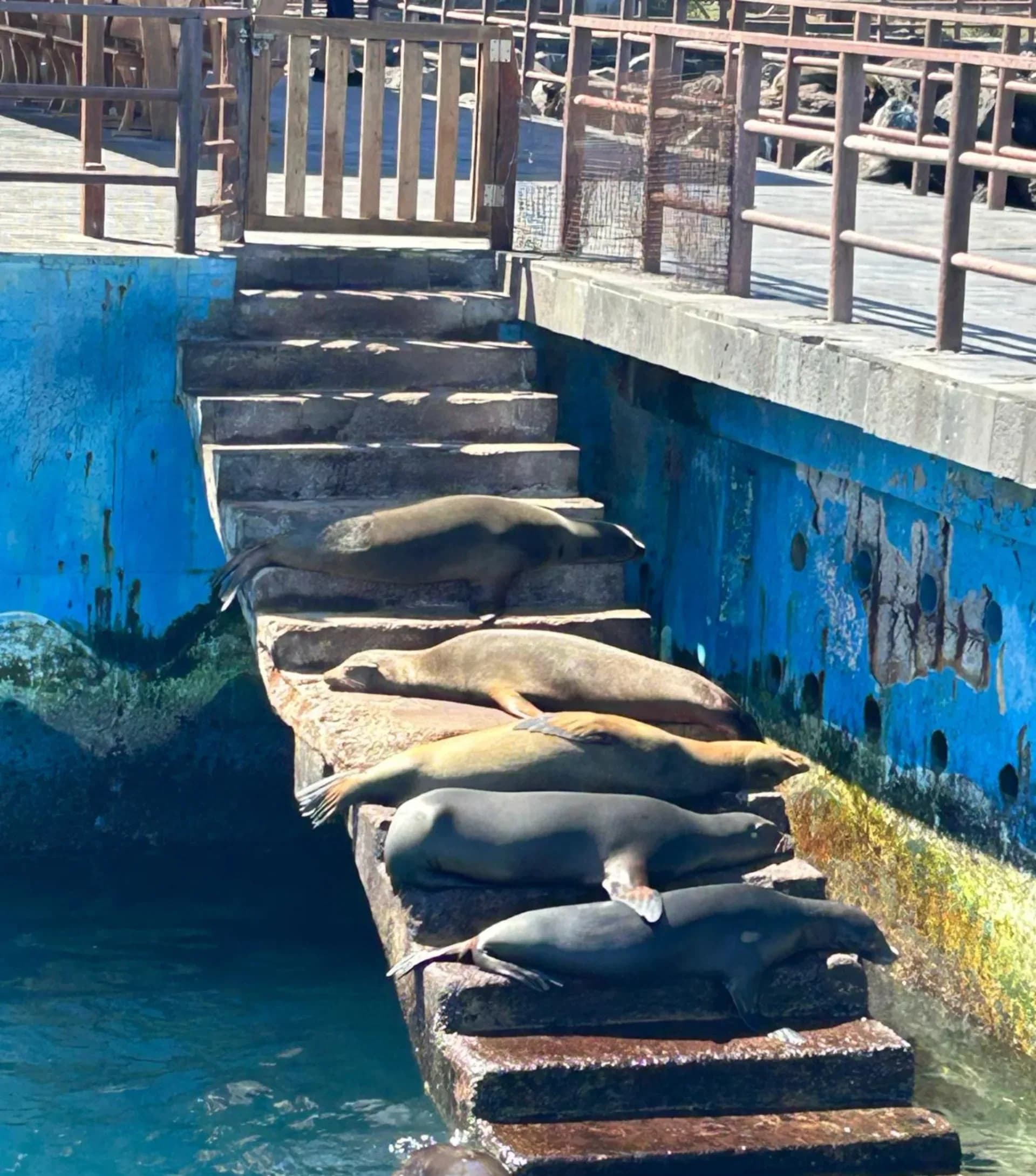 10 Day Galápagos 5 Island Hopping Tour