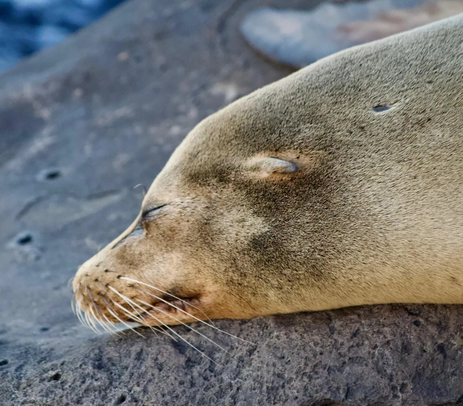 12 Day Galápagos 6 Island Hopping Tour
