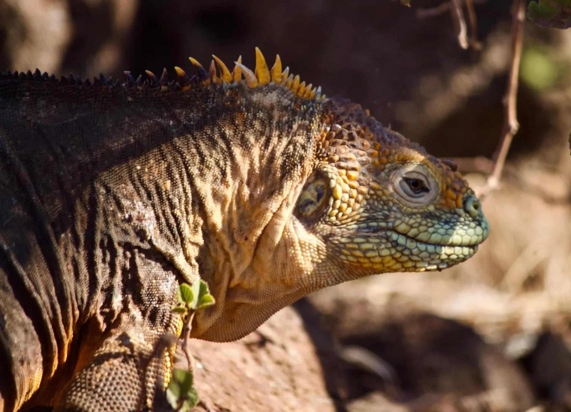 13 Day Galápagos 7 Island Hopping Tour
