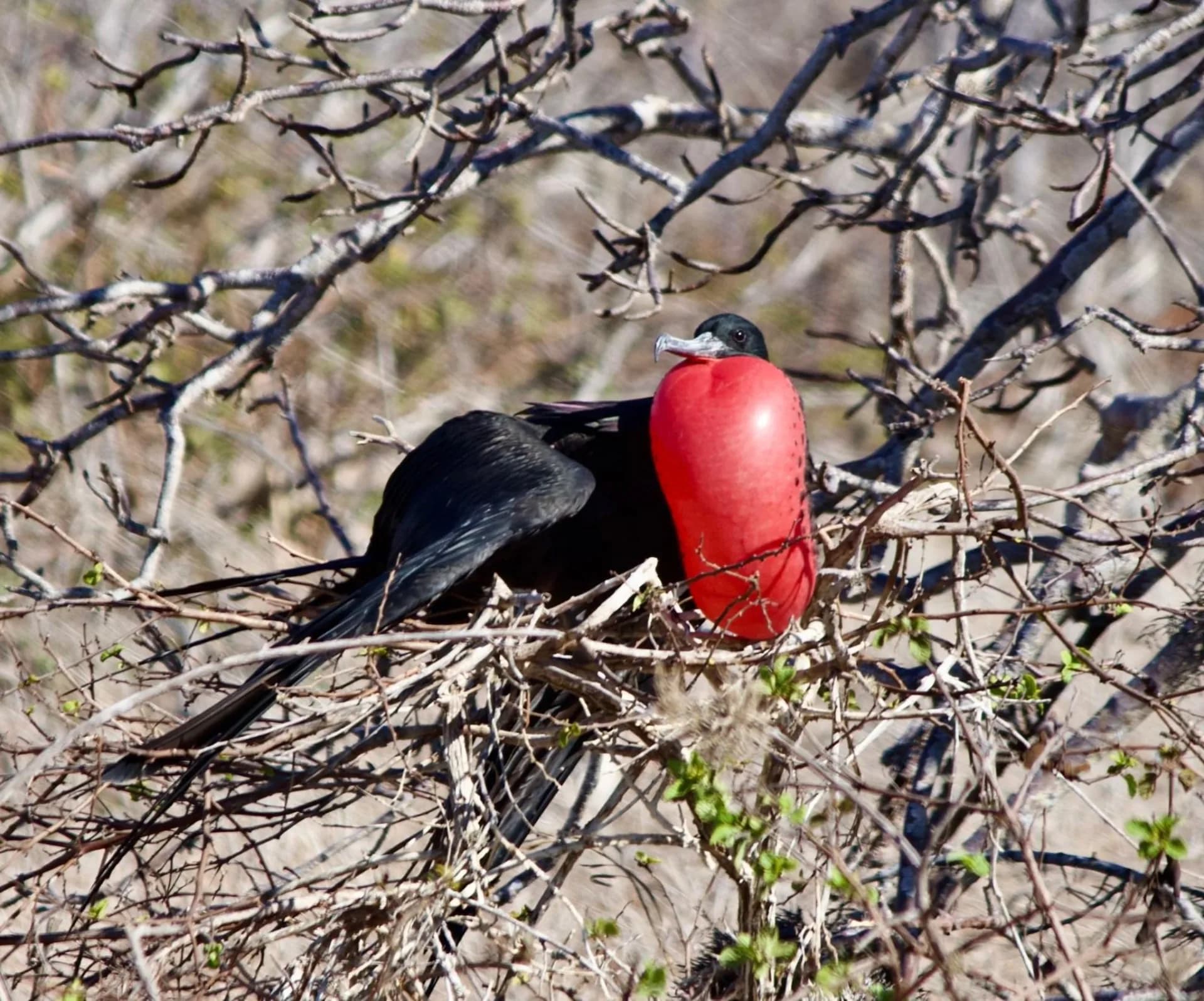 6 Day Galápagos 2 Island Hopping Tour